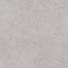 Nassau Gris