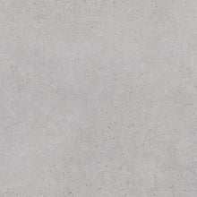Nassau Gris