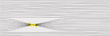 Otomi-4